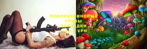 прущий лед Горно-Алтайск